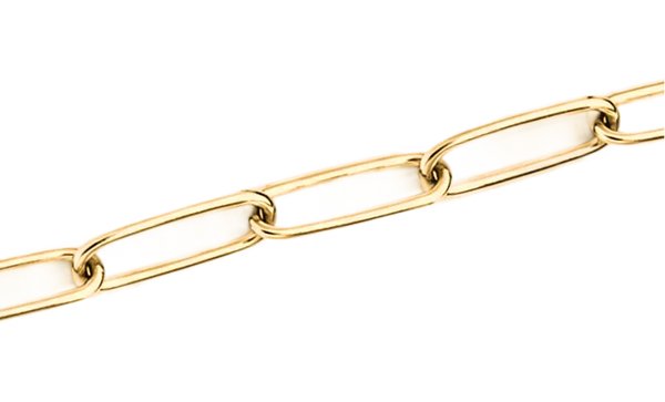 Gold Skinny Chain
