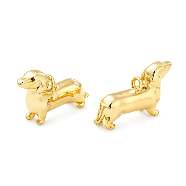 Golden dog Teckel